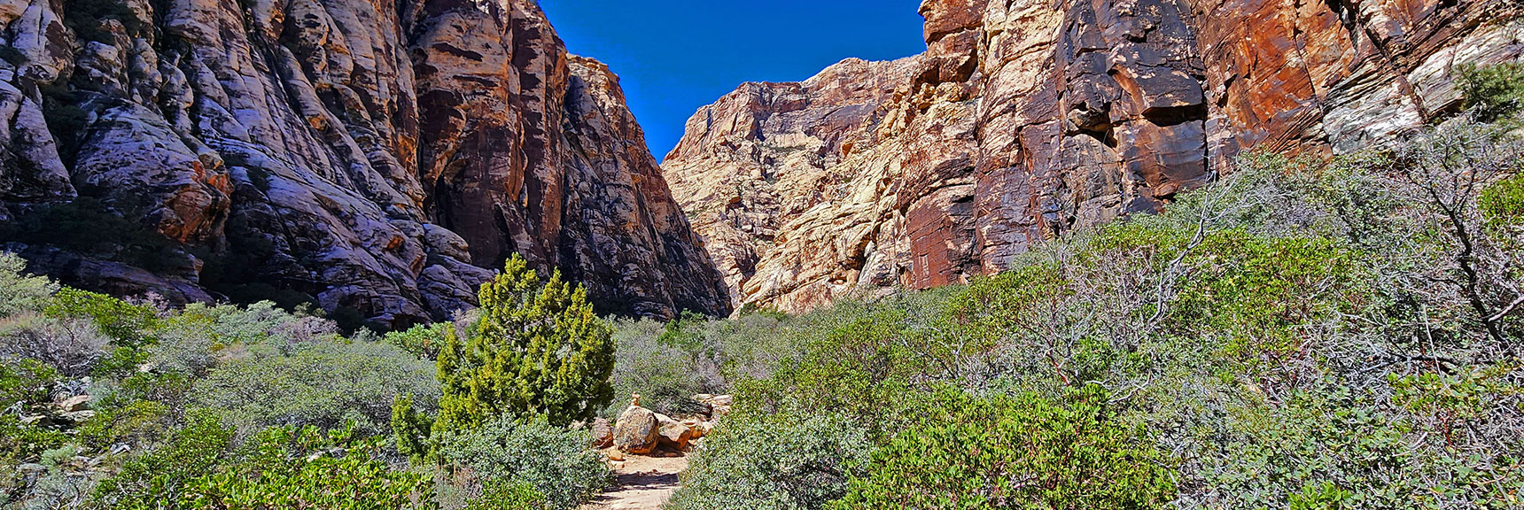 Passing Through Canyon Opening. Trail Narrows, Will Soon Descend to Creek | Ice Box Canyon | Red Rock Canyon NCA, Nevada | Las Vegas Area Trails | David Smith