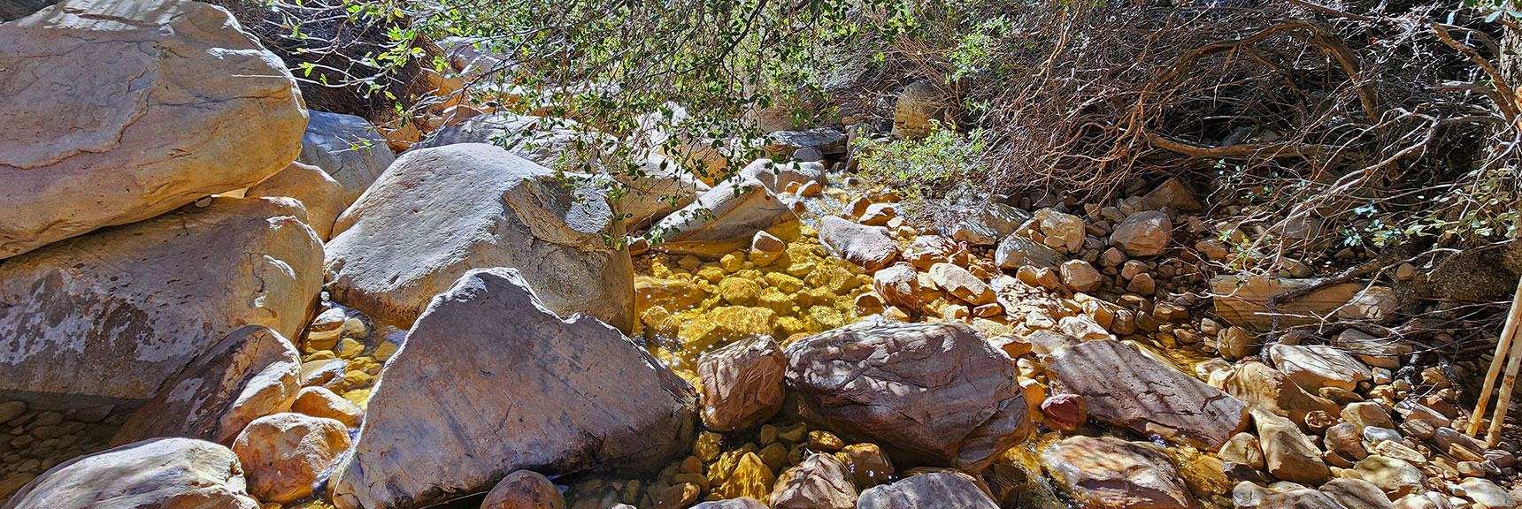 Sounds of Beautiful Singing Creek Always Present Throughout Canyon | Ice Box Canyon | Red Rock Canyon NCA, Nevada | Las Vegas Area Trails | David Smith