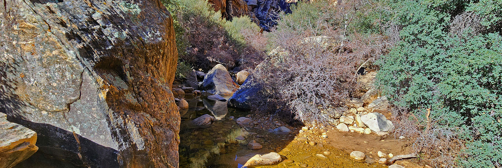 Another Creek Crossing. Watch for Passageway on Opposite Side | Ice Box Canyon | Red Rock Canyon NCA, Nevada | Las Vegas Area Trails | David Smith