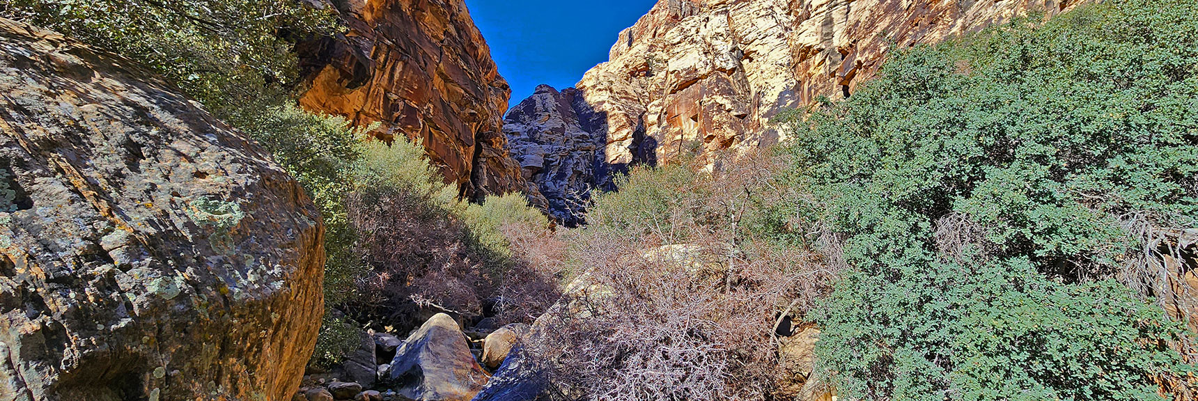 Brush and Boulders Along Canyon Base Ahead. But Beautiful Creek & Bird Sounds | Ice Box Canyon | Red Rock Canyon NCA, Nevada | Las Vegas Area Trails | David Smith