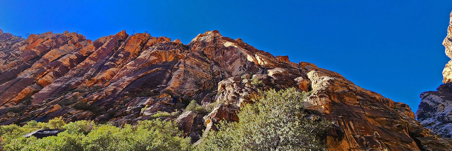 These Canyon Walls Are World Class Rock Climbing Destinations in Other Canyons | Ice Box Canyon | Red Rock Canyon NCA, Nevada | Las Vegas Area Trails | David Smith
