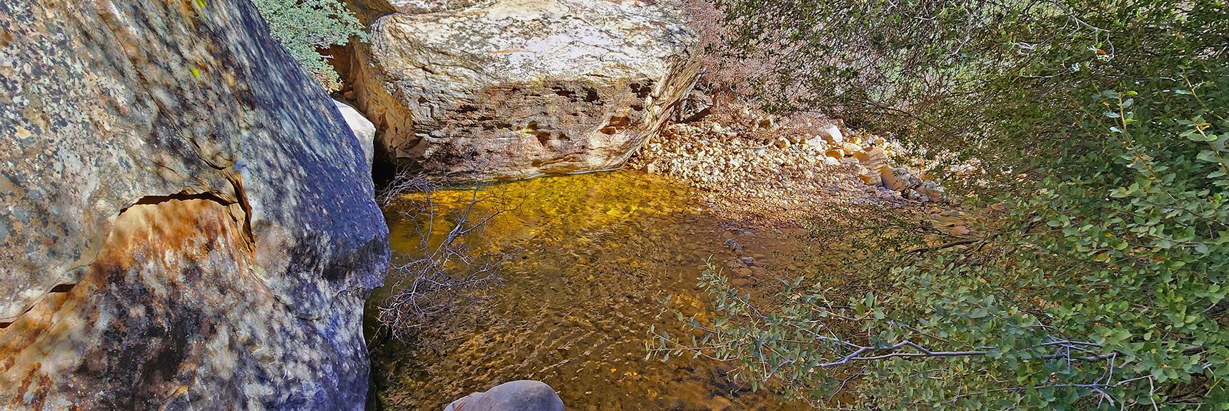 Another Quiet, Peaceful Pool. Find Route Around Boulders. | Ice Box Canyon | Red Rock Canyon NCA, Nevada | Las Vegas Area Trails | David Smith