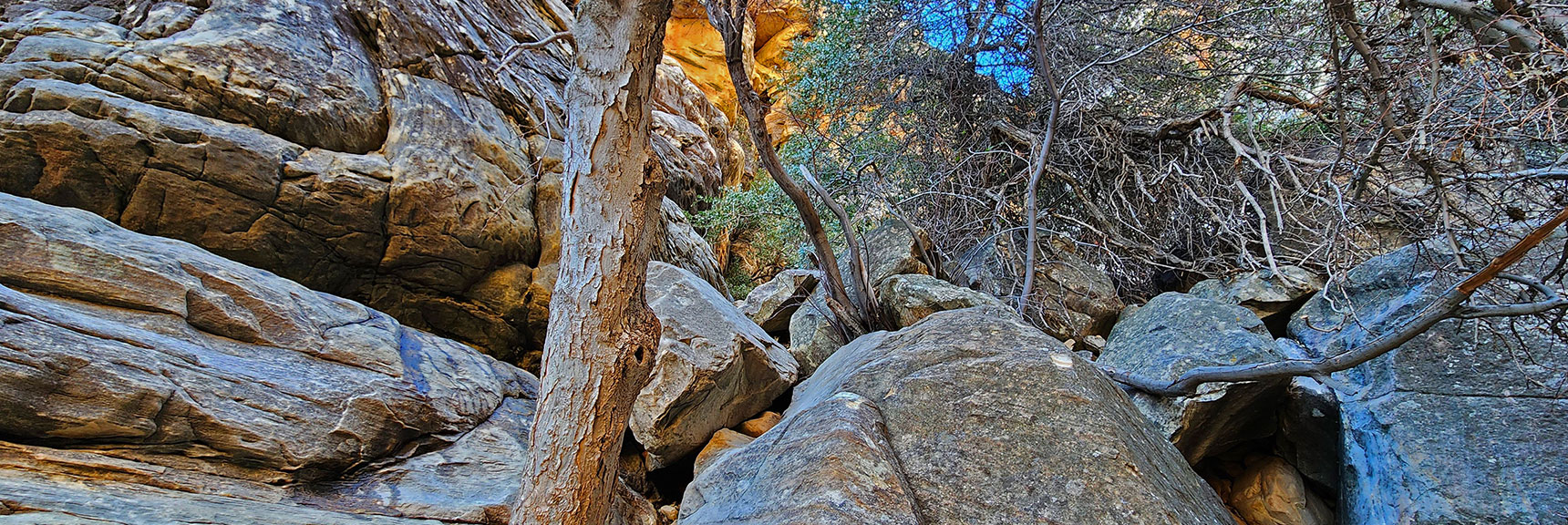Class 3 Upward Scramble Through Chute Near Canyon Route Summit | Ice Box Canyon | Red Rock Canyon NCA, Nevada | Las Vegas Area Trails | David Smith