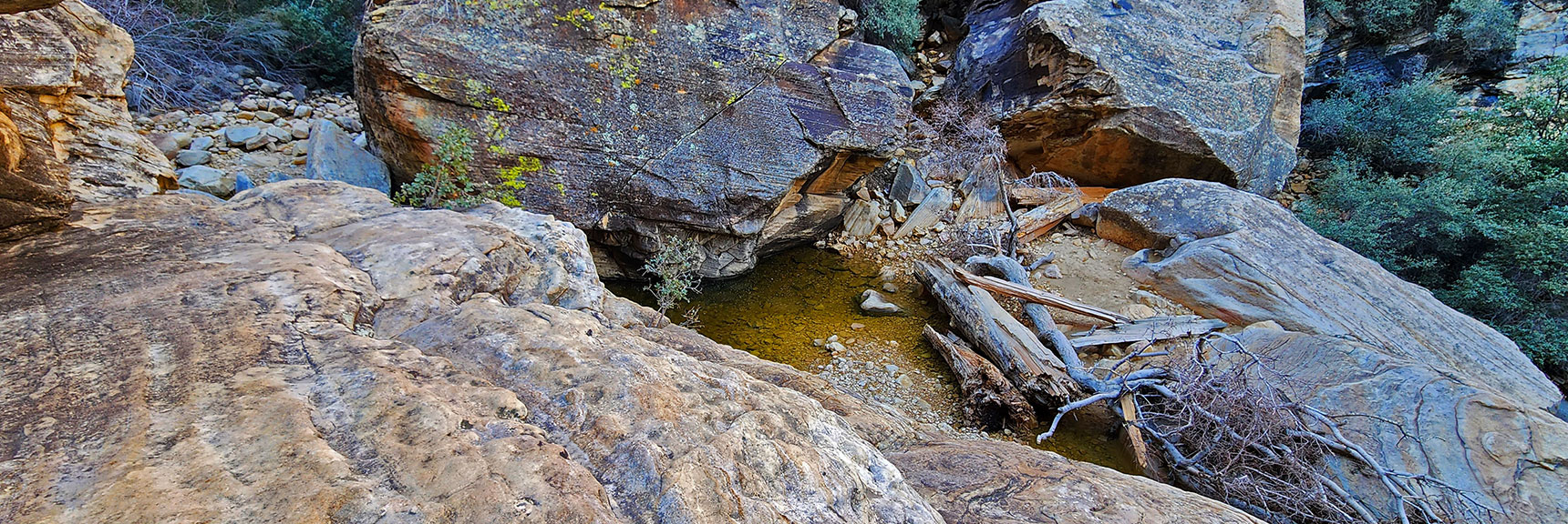 Quiet Pool Far Below Rock Ledge Which is Just Wide Enough | Ice Box Canyon | Red Rock Canyon NCA, Nevada | Las Vegas Area Trails | David Smith