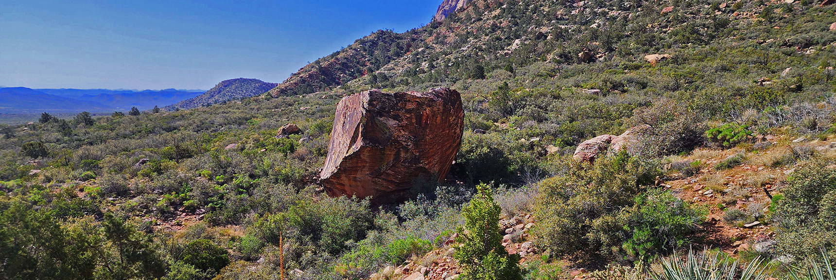 Head Up Juniper Canyon on an Unmarked Trail to Juniper Canyon Landmark Boulder | Juniper Canyon | Red Rock Canyon National Conservation Area, Nevada | David Smith | LasVegasAreaTrails.com