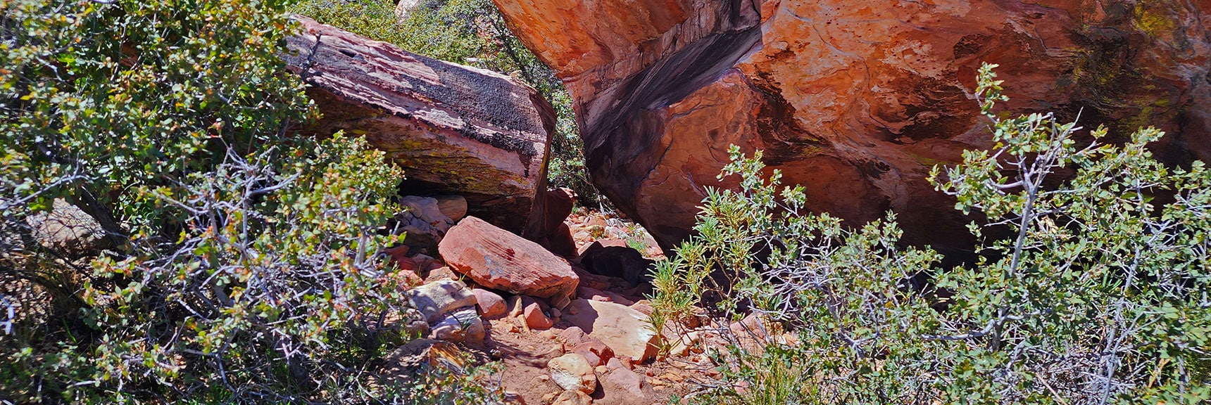 Squeeze Under the Left Side of the Boulder, Then Ascend to North Side of Canyon | Juniper Canyon | Red Rock Canyon National Conservation Area, Nevada | David Smith | LasVegasAreaTrails.com