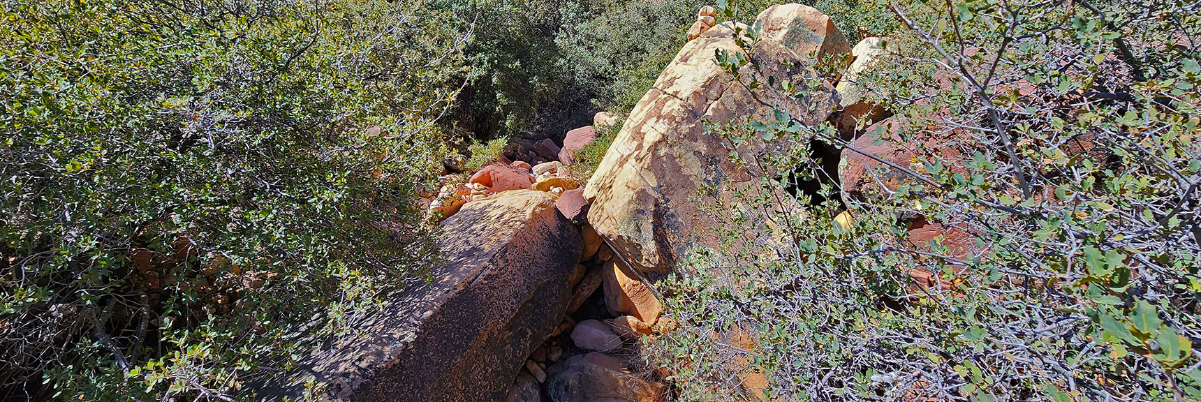 Descend Again into Thicker Brush & Boulders in Canyon. Follow Cairns. | Juniper Canyon | Red Rock Canyon National Conservation Area, Nevada | David Smith | LasVegasAreaTrails.com