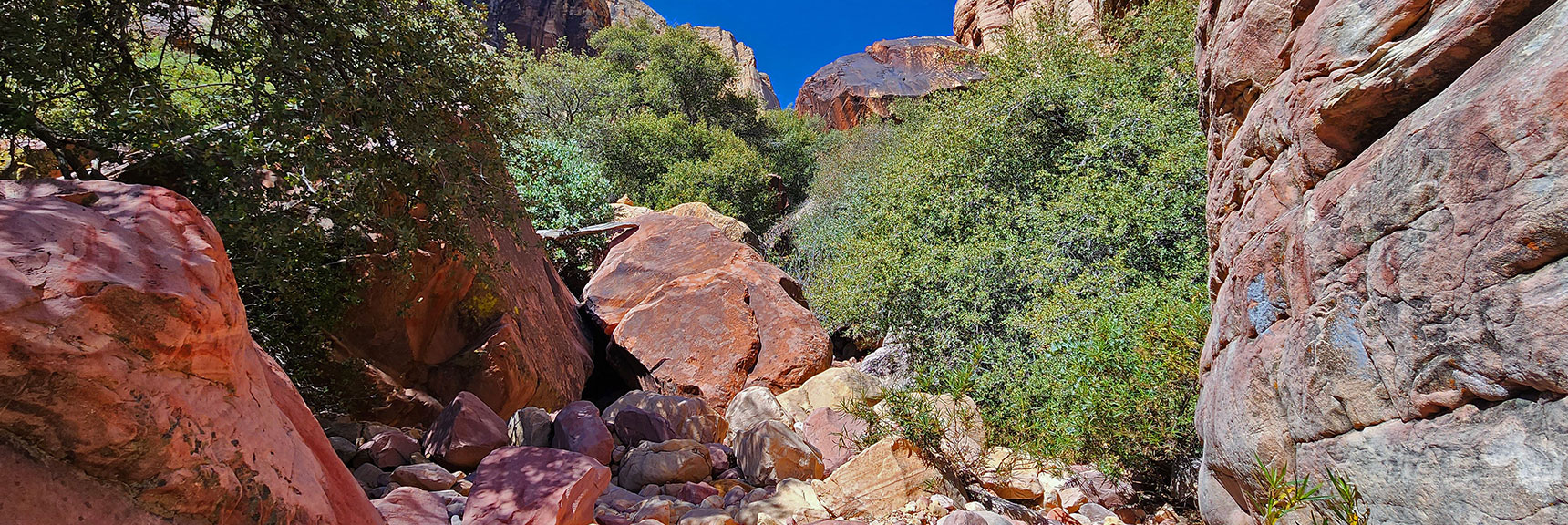 Boulders Form a Few Ledges to Navigate, But All Relatively Easy Class 3 | Juniper Canyon | Red Rock Canyon National Conservation Area, Nevada | David Smith | LasVegasAreaTrails.com