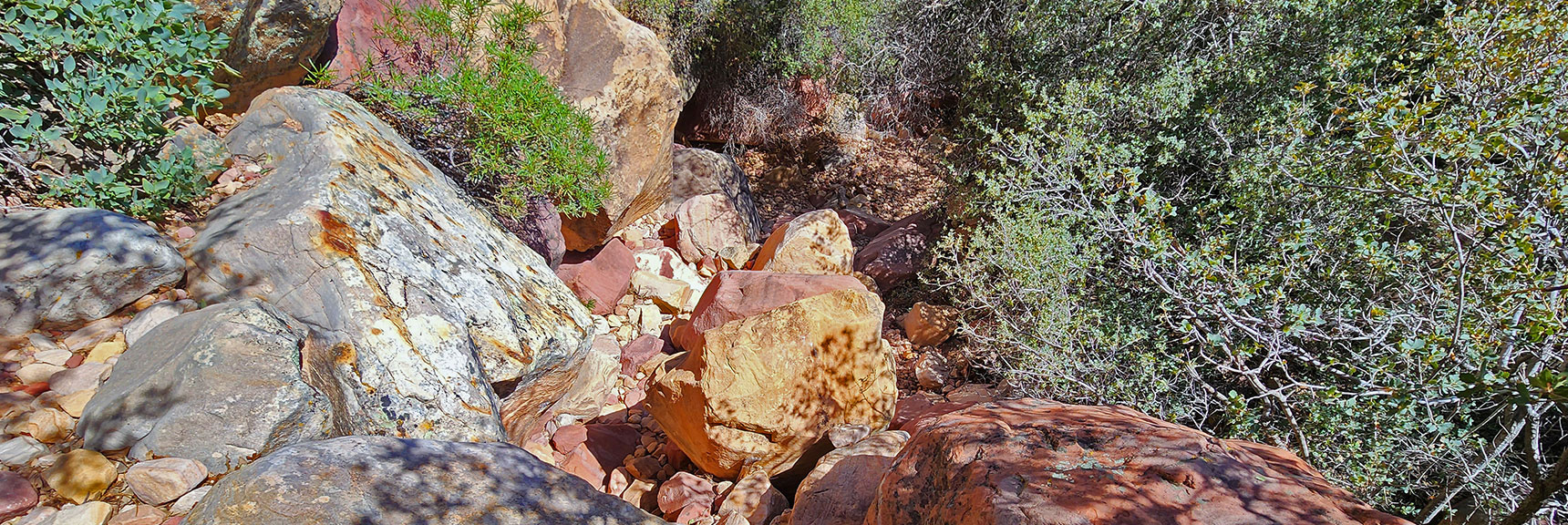 More Boulders and Ledges to Navigate Through This Stretch | Juniper Canyon | Red Rock Canyon National Conservation Area, Nevada | David Smith | LasVegasAreaTrails.com