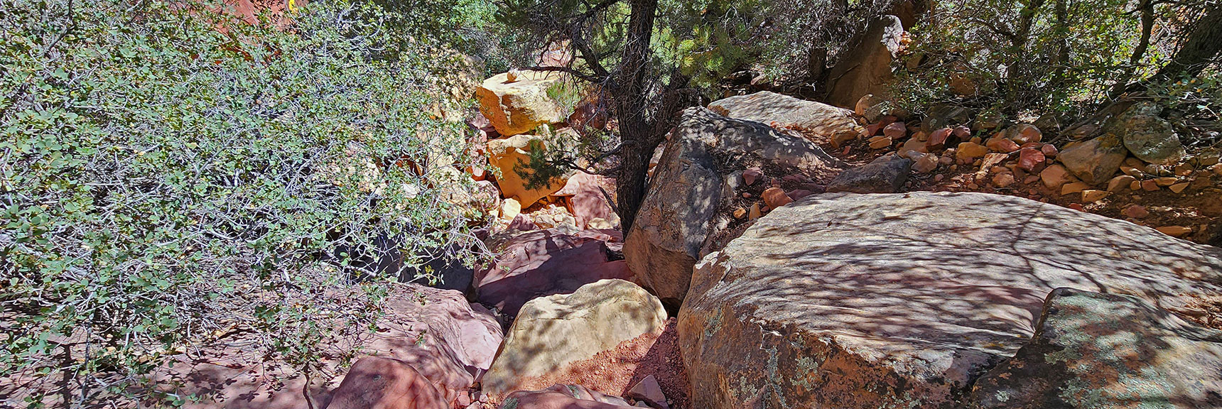 Cairns Continue All the Way. The Navigation Challenge Can Be Fun. | Juniper Canyon | Red Rock Canyon National Conservation Area, Nevada | David Smith | LasVegasAreaTrails.com