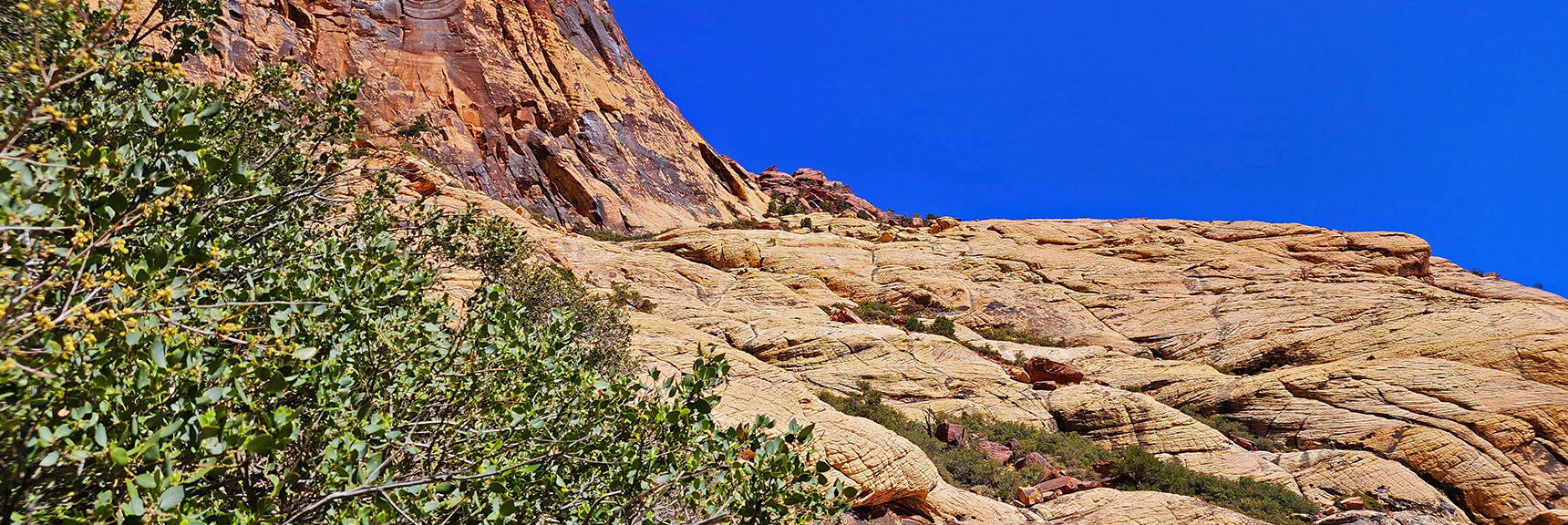 Emerging from the Brush, Sandstone Now in Full View | Juniper Canyon | Red Rock Canyon National Conservation Area, Nevada | David Smith | LasVegasAreaTrails.com