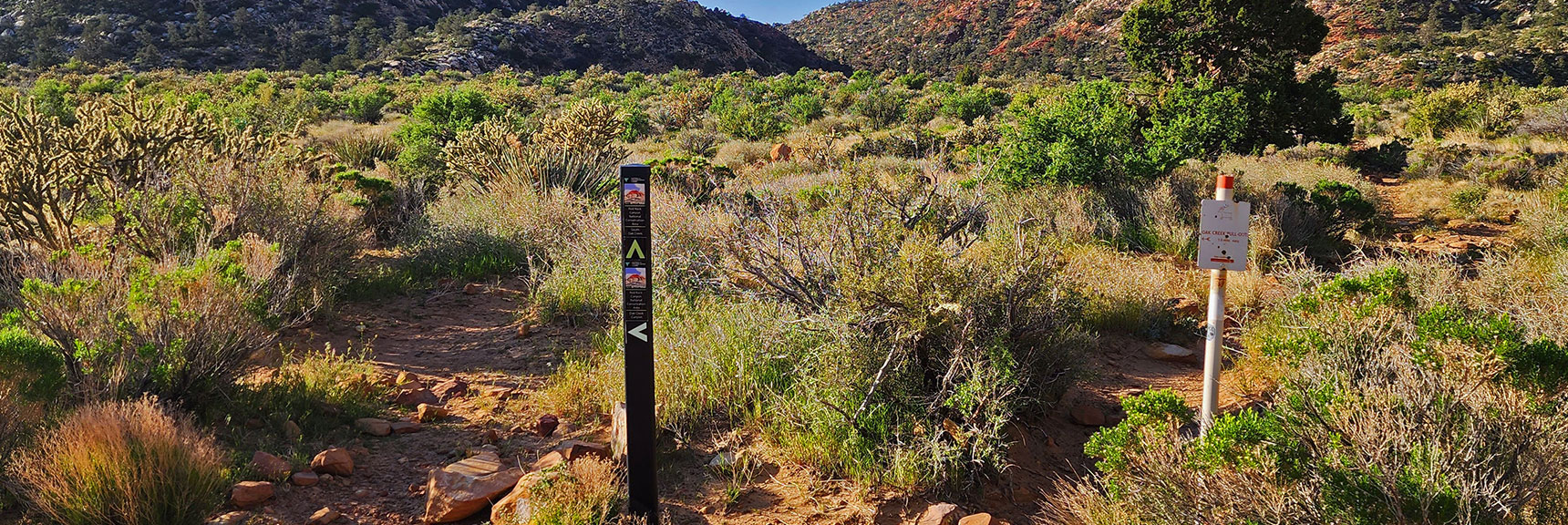 Another Trail Continues South to Middle Oak Creek Trailhead | Knoll Trail | Red Rock Canyon National Conservation Area, Nevada | David Smith | LasVegasAreaTrails.com