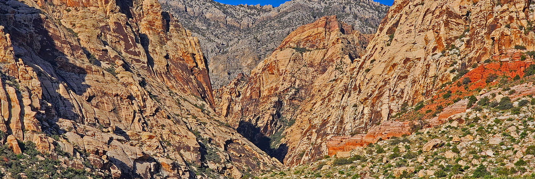 View Up Oak Creek Canyon Between Mt. Wilson and Rainbow Mt. | Knoll Trail | Red Rock Canyon National Conservation Area, Nevada | David Smith | LasVegasAreaTrails.com