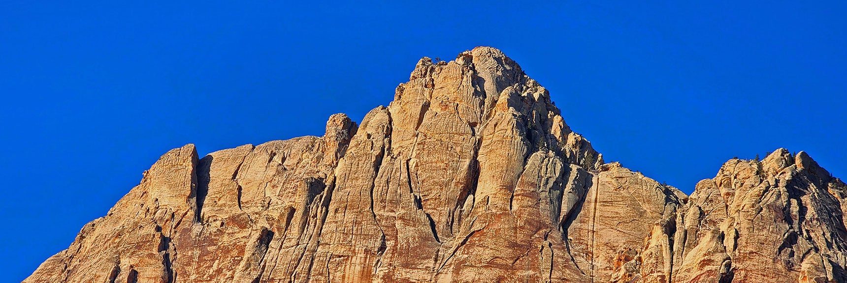 NE Mt. Wilson Summit Area | Knoll Trail | Red Rock Canyon National Conservation Area, Nevada | David Smith | LasVegasAreaTrails.com
