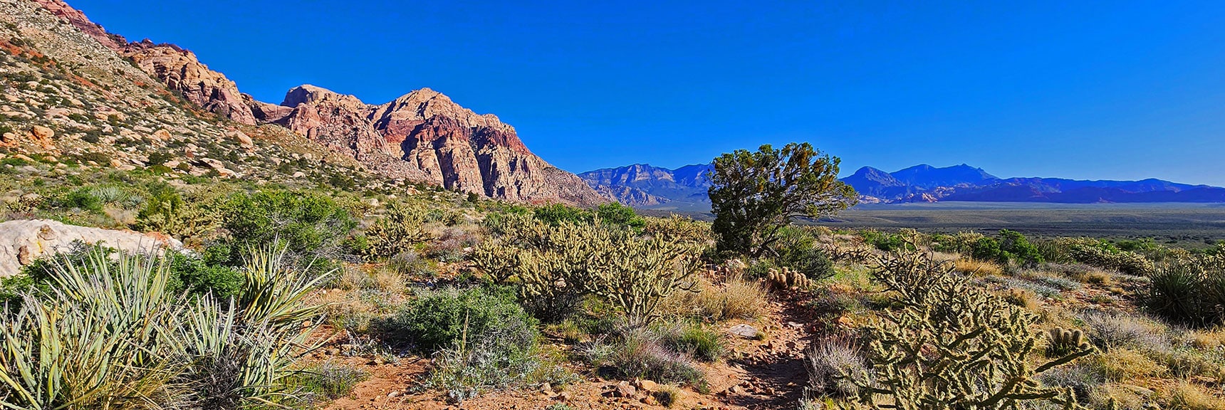 Knoll Trail on East Base of Rainbow Mt Approaching Juniper Canyon | Knoll Trail | Red Rock Canyon National Conservation Area, Nevada | David Smith | LasVegasAreaTrails.com