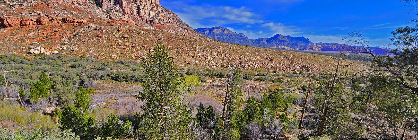 View North Across Pine Creek Canyon | Knoll Trail | Red Rock Canyon National Conservation Area, Nevada | David Smith | LasVegasAreaTrails.com