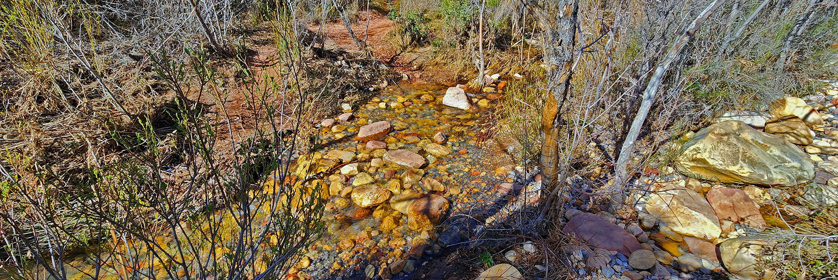 Pine Creek Crossing During Spring Runoff | Knoll Trail | Red Rock Canyon National Conservation Area, Nevada | David Smith | LasVegasAreaTrails.com