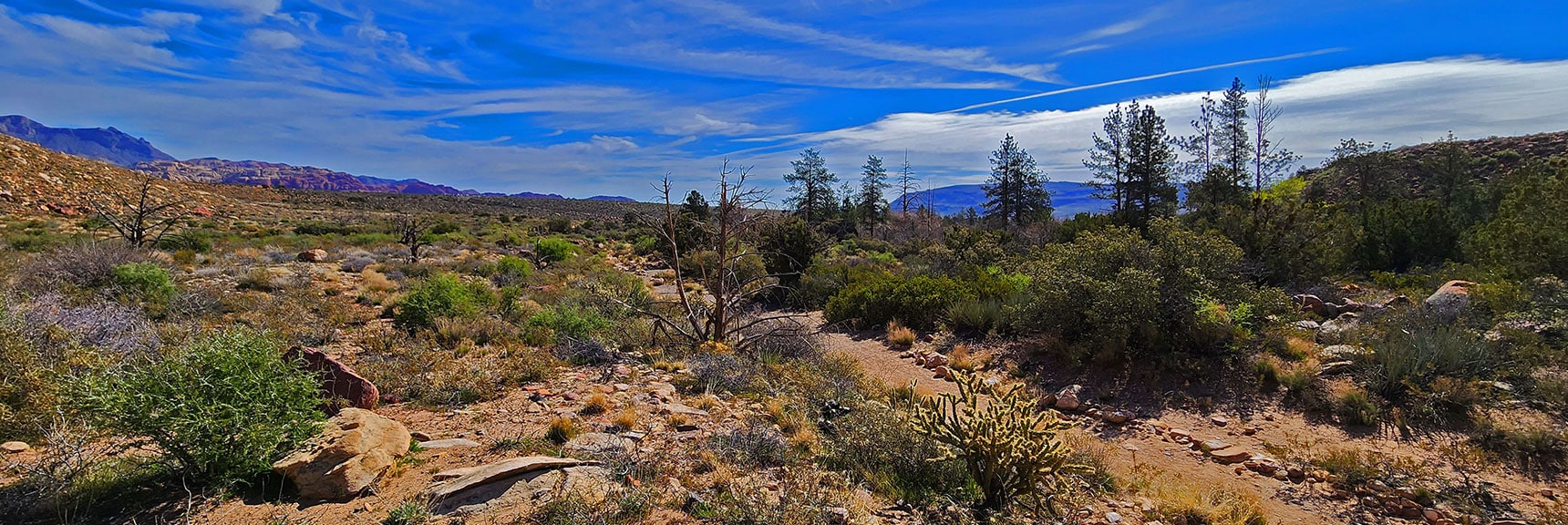 Short Stretch Down Pine Creek Canyon Trail to Dales Southern Trailhead | Knoll Trail | Red Rock Canyon National Conservation Area, Nevada | David Smith | LasVegasAreaTrails.com
