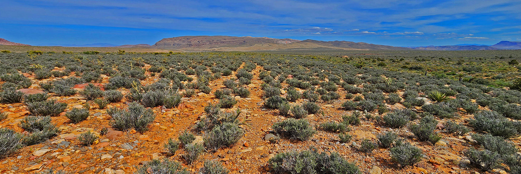 View Down Historic Road SE (opposite direction) Toward Blue Diamond Hill | Historic Roads in Red Rock Canyon, Nevada | David Smith | LasVegasAreaTrails.com