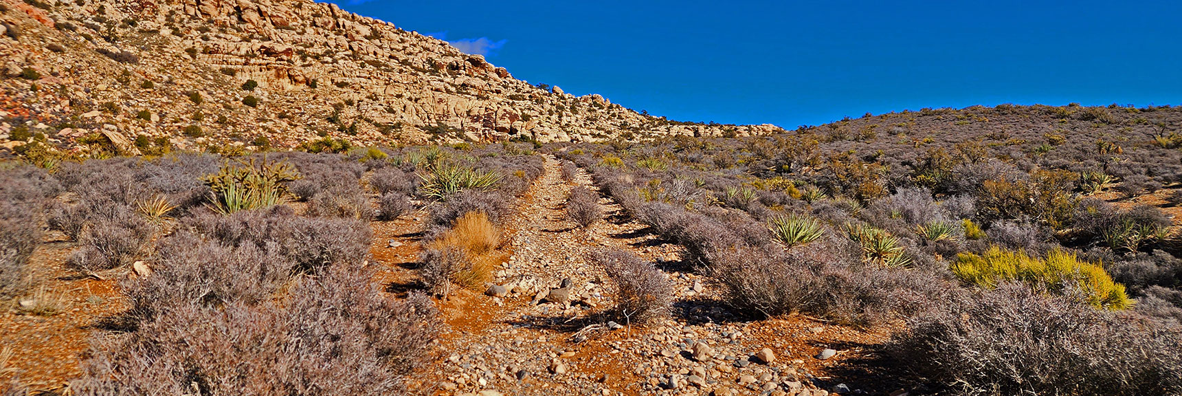 Similar Old Historic Road on SE Side of White Rock Mt. Heading to WR Spring | Historic Roads in Red Rock Canyon, Nevada | David Smith | LasVegasAreaTrails.com