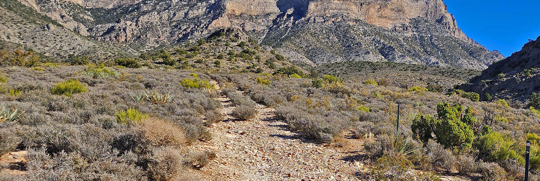 Another Historic Road Splits from Keystone Thrust Trail Toward Canyon | Historic Roads in Red Rock Canyon, Nevada | David Smith | LasVegasAreaTrails.com