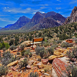 Dales Trail | Red Rock Canyon, Nevada