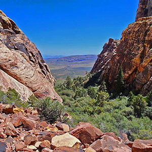 Juniper Canyon | Red Rock Canyon National Conservation Area, Nevada