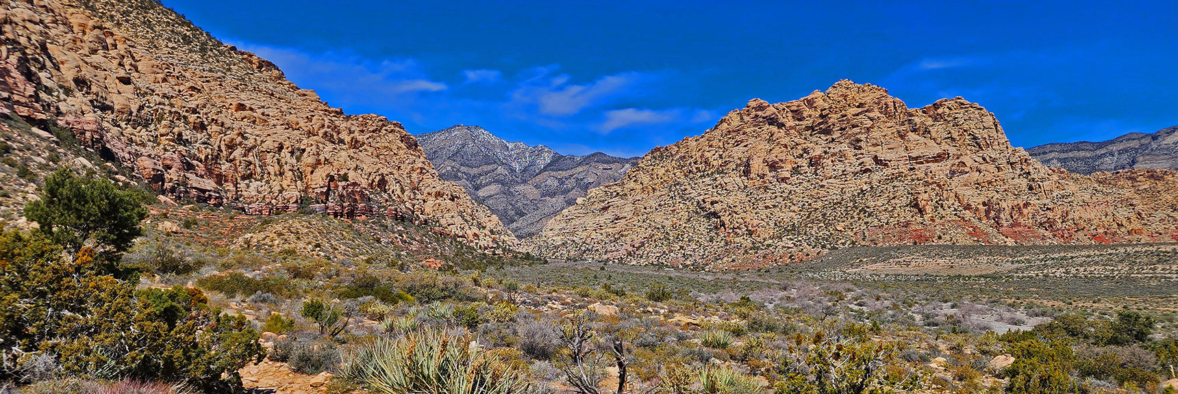 Setting Out Northward on the SMYC Trail Toward White Rock Mountain/Willow Spring | SMYC Trail | Red Rock Canyon National Conservation Area, Nevada | David Smith | LasVegasAreaTrails.com