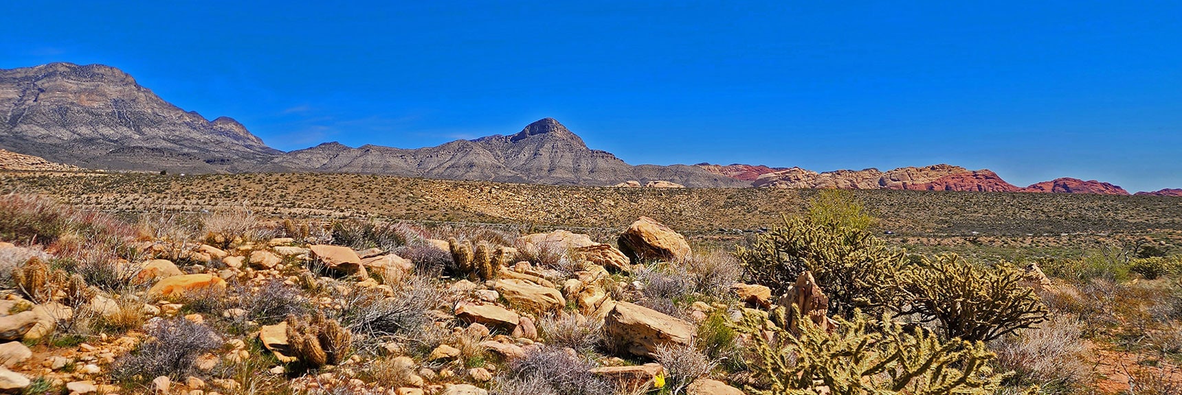 Toward the South High Point on SMYC Trail. Turtlehead Peak & Calico Hills on Horizon | SMYC Trail | Red Rock Canyon National Conservation Area, Nevada | David Smith | LasVegasAreaTrails.com