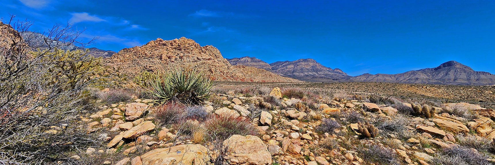 Target: Willow Spring at White Rock Mountain. La Madre Mountains Cliffs Far Background | SMYC Trail | Red Rock Canyon National Conservation Area, Nevada | David Smith | LasVegasAreaTrails.com