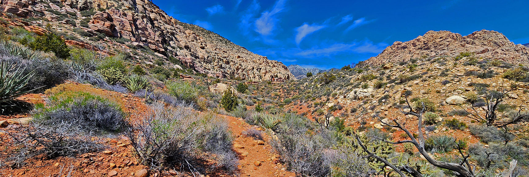 Trail Color Changes with the Prevailing Rock Type. Aztec Red Here | SMYC Trail | Red Rock Canyon National Conservation Area, Nevada | David Smith | LasVegasAreaTrails.com