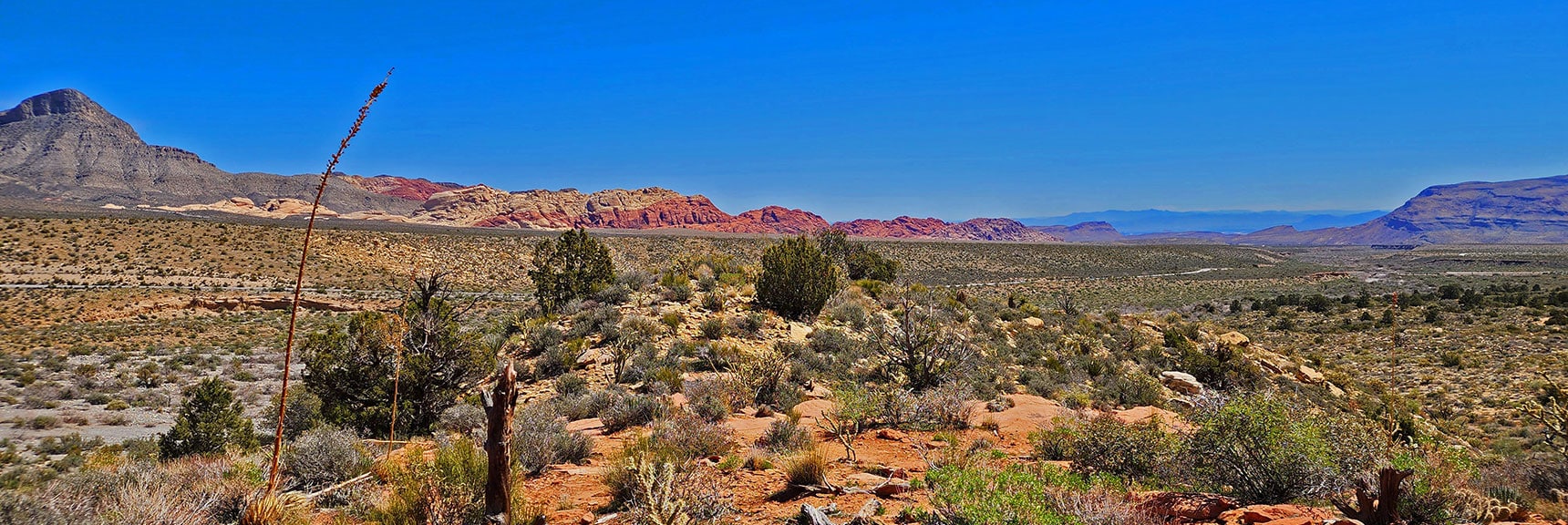 View Across Red Rock Canyon to Calico Hills (Left); Blue Diamond Hill (Right) | SMYC Trail | Red Rock Canyon National Conservation Area, Nevada | David Smith | LasVegasAreaTrails.com
