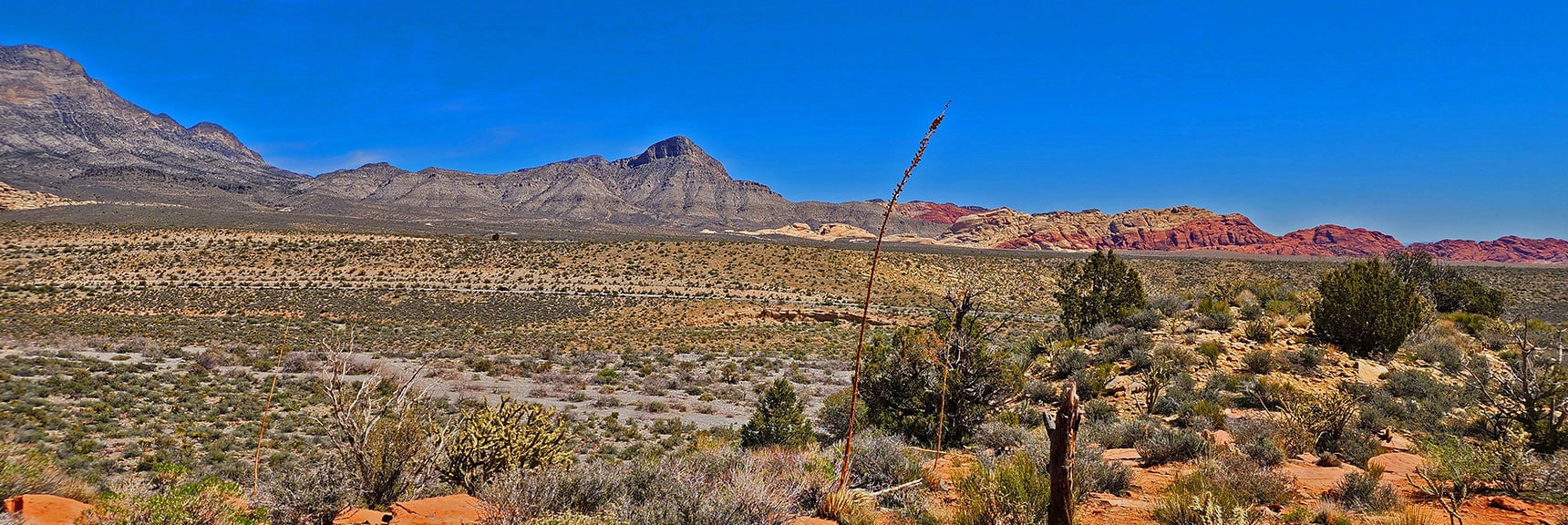 On the Southern Highpoint of the SMYC Trail. Turtlehead Peak Across Red Rock Canyon | SMYC Trail | Red Rock Canyon National Conservation Area, Nevada | David Smith | LasVegasAreaTrails.com