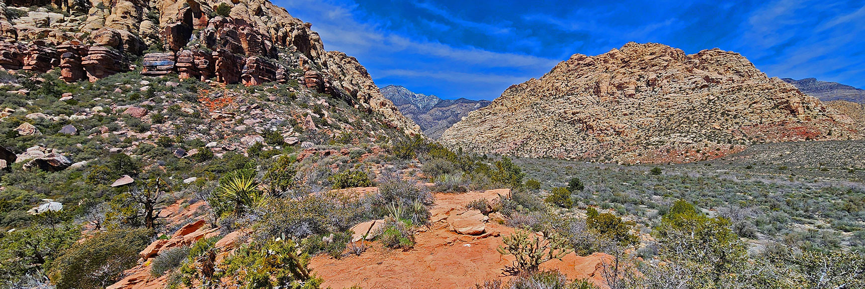 Northern High Point Would Be a Rewarding Brief Hike from Willow Spring | SMYC Trail | Red Rock Canyon National Conservation Area, Nevada | David Smith | LasVegasAreaTrails.com
