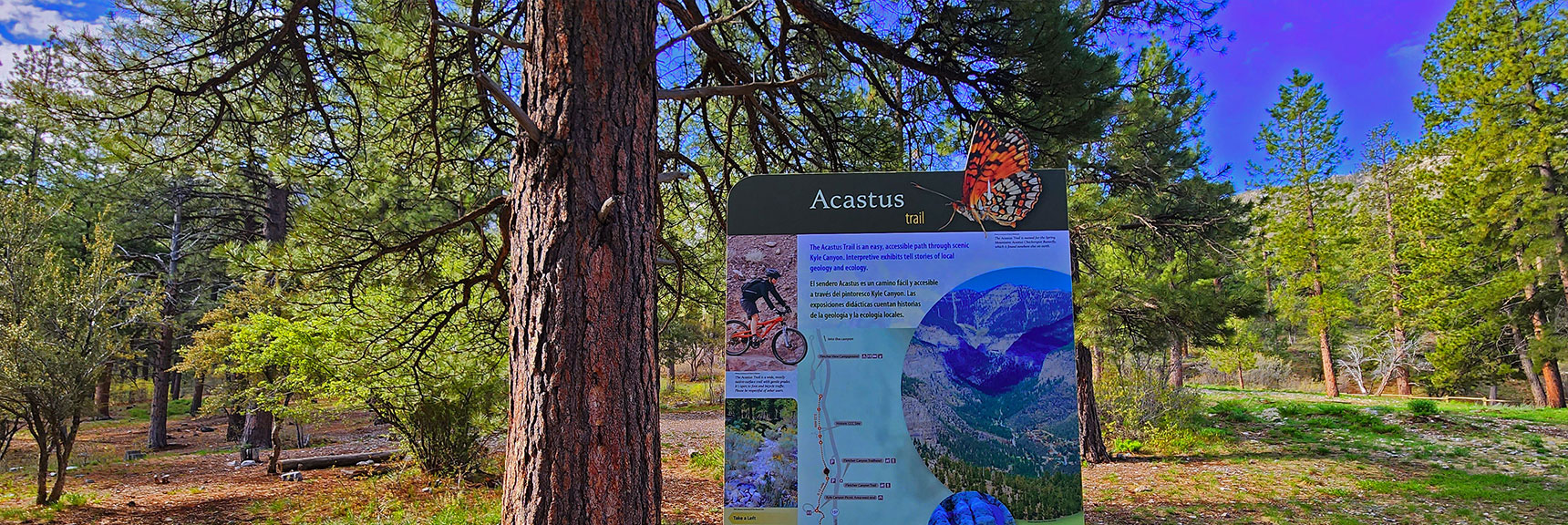Introductory Interpretive Display at The Fletcher Canyon Trailhead Area | Acastus Trail | Mt Charleston Wilderness | Spring Mountains, Nevada