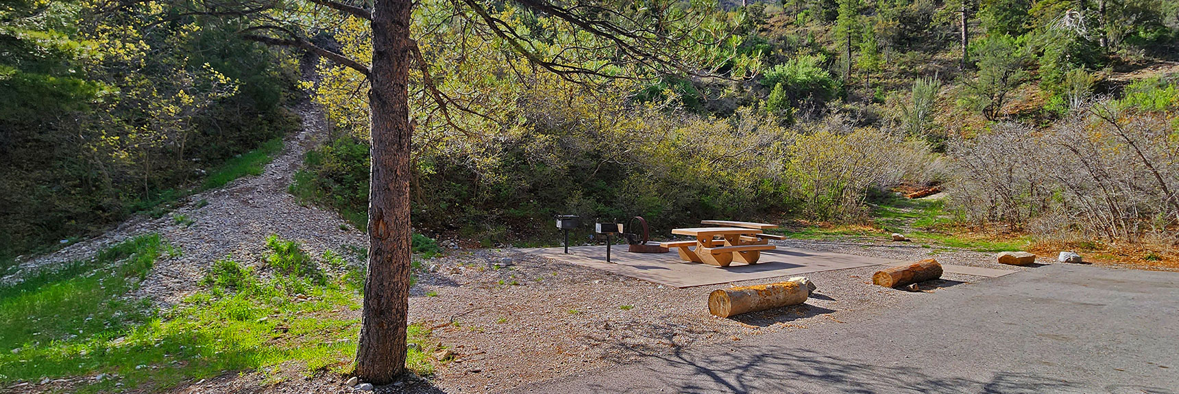 At Base of The Kyle Canyon Picnic Area. Potential Access Pathway to Harris Mountain | Acastus Trail | Mt Charleston Wilderness | Spring Mountains, Nevada