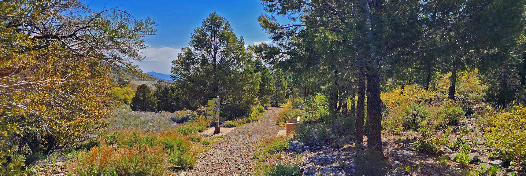 Now in The Much Dryer Zone of the Lower Acastus Trail Approaching the Visitor Gateway | Acastus Trail | Mt Charleston Wilderness | Spring Mountains, Nevada