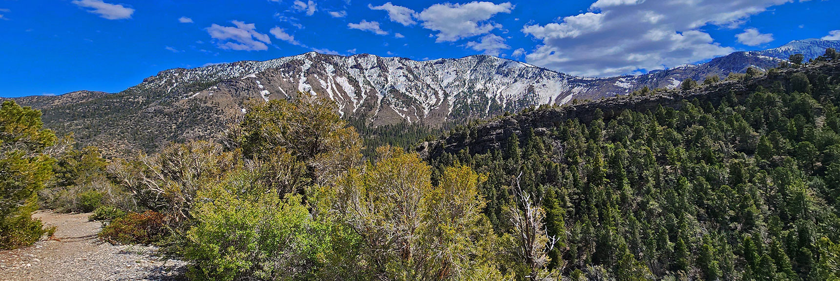 Harris Mountain Center, Griffith Peak Distant to Right | Eagles Nest Loop | Mt Charleston Wilderness | Spring Mountains, Nevada