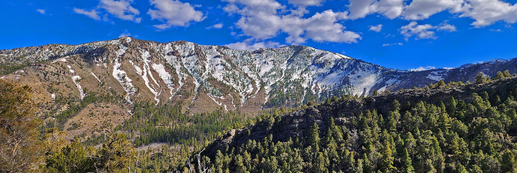 Harris Mountain Across Kyle Canyon from Eagle's Nest Loop | Eagles Nest Loop | Mt Charleston Wilderness | Spring Mountains, Nevada