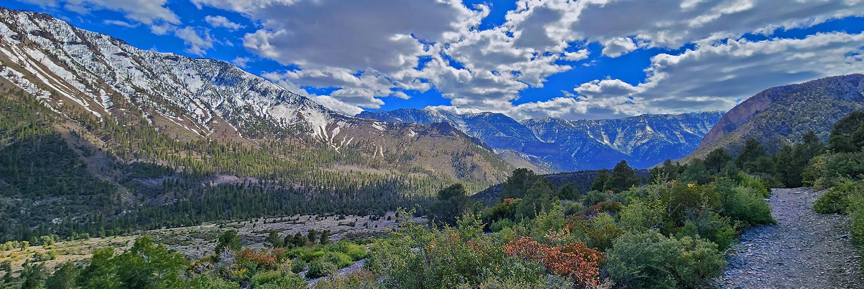 View Up To South Rim of Kyle Canyon | Eagles Nest Loop | Mt Charleston Wilderness | Spring Mountains, Nevada