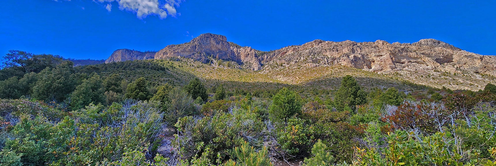 More Open View of Cliffs South of Fletcher Peak | Eagles Nest Loop | Mt Charleston Wilderness | Spring Mountains, Nevada