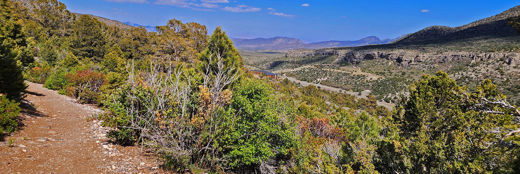 View Toward Escarpment Trail Across Kyle Canyon Road | Eagles Nest Loop | Mt Charleston Wilderness | Spring Mountains, Nevada