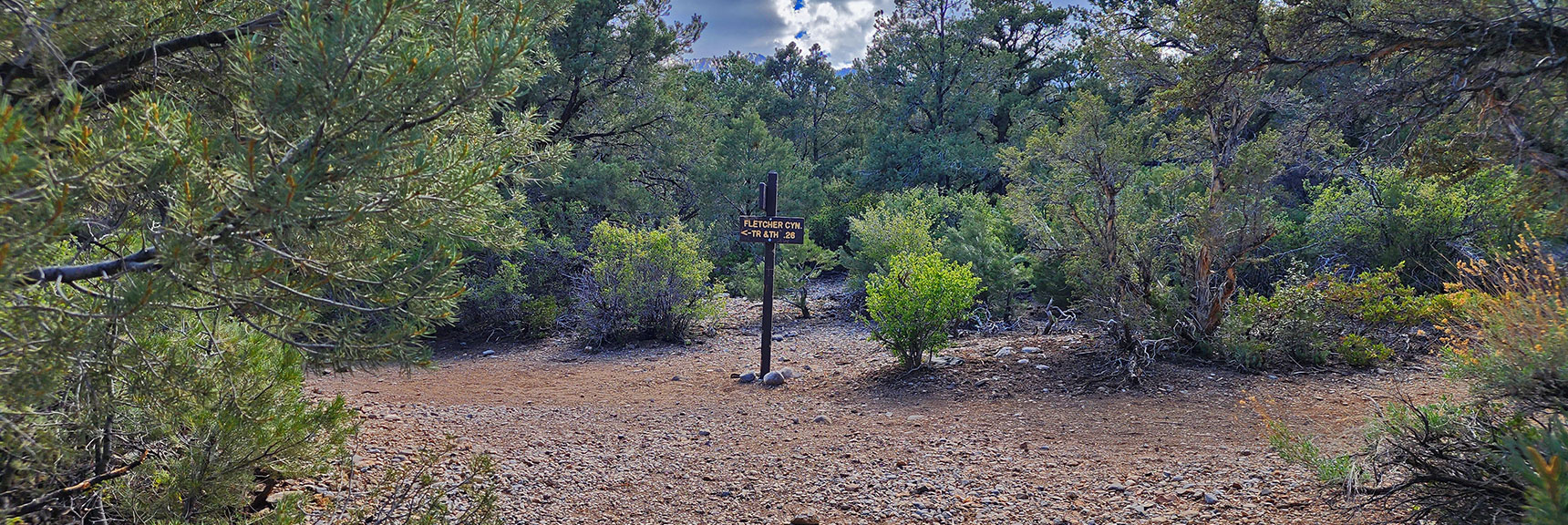 End of Loop, Heading Back to Fletcher Canyon Trail and Trailhead | Eagles Nest Loop | Mt Charleston Wilderness | Spring Mountains, Nevada