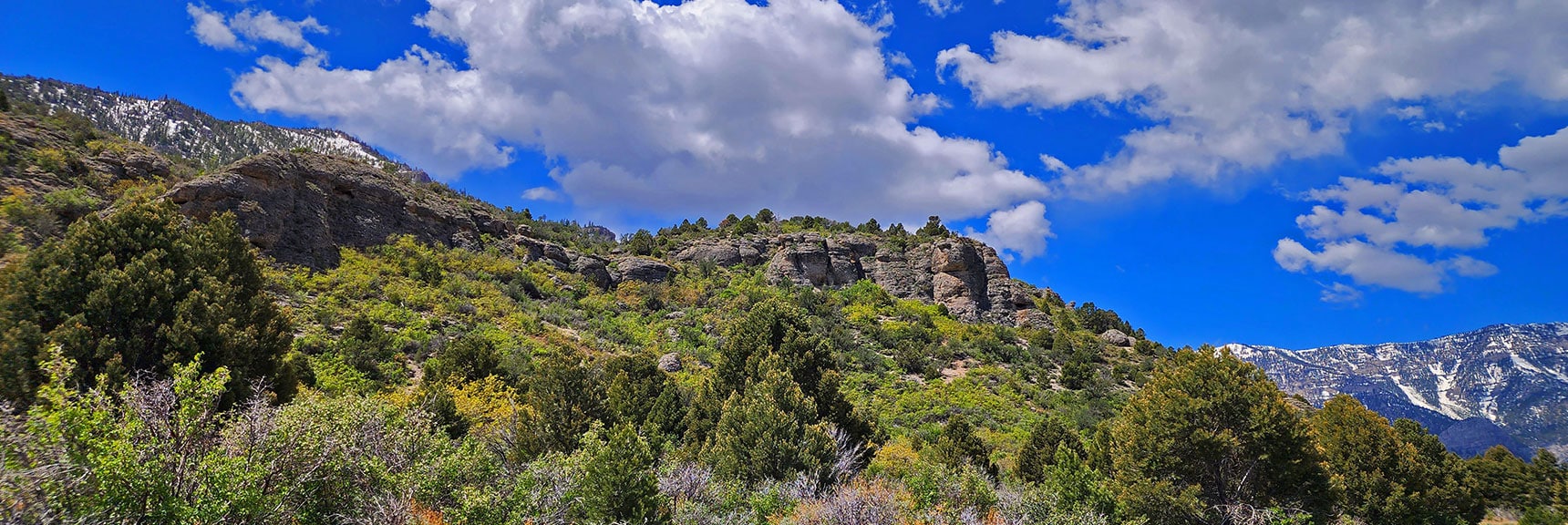 Escarpment View, Harris Mountain in Background (left) | Escarpment Trail | Mt Charleston Wilderness | Spring Mountains, Nevada
