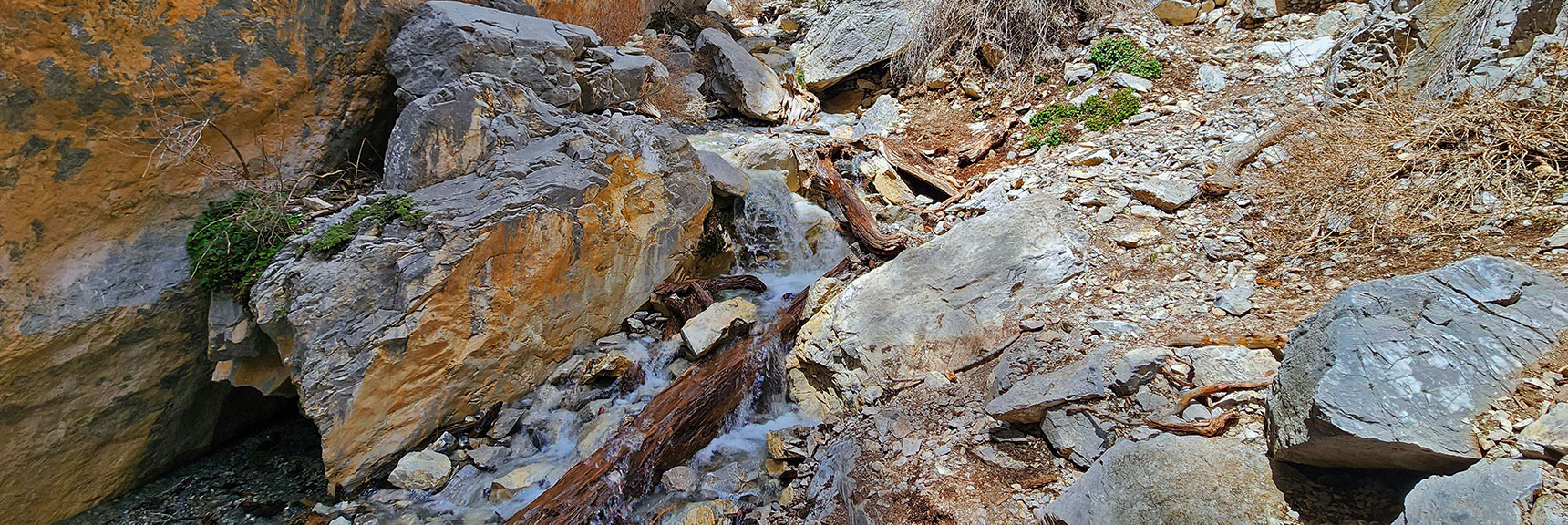 Spring Runoff Flowing Strongly in Early May After a Heavy Snow Winter | Fletcher Canyon Trail | Mt Charleston Wilderness, Nevada