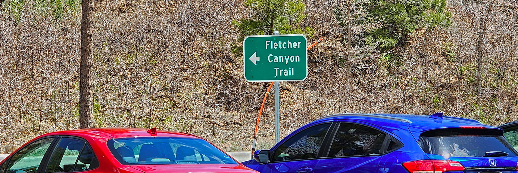 Fletcher Canyon Trail Begins Across Kyle Canyon Road from Trailhead Parking | Fletcher Canyon Trail | Mt Charleston Wilderness | Spring Mountains, Nevada