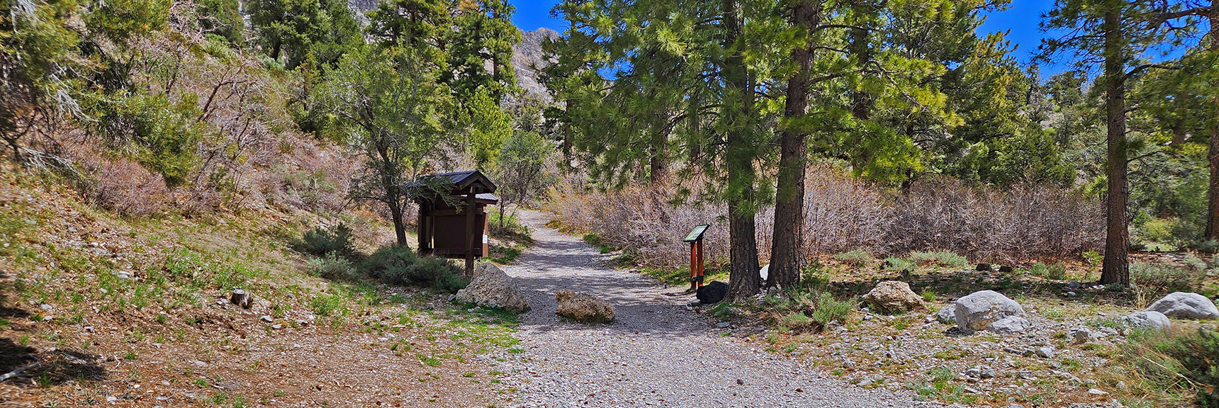 Fletcher Canyon Trailhead | Fletcher Canyon Trail | Mt Charleston Wilderness | Spring Mountains, Nevada