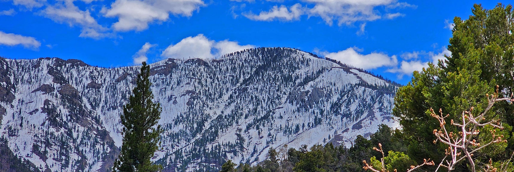 Harris Mountain with Western Summit Approach Ridge to the Right | Fletcher Canyon Trail | Mt Charleston Wilderness | Spring Mountains, Nevada
