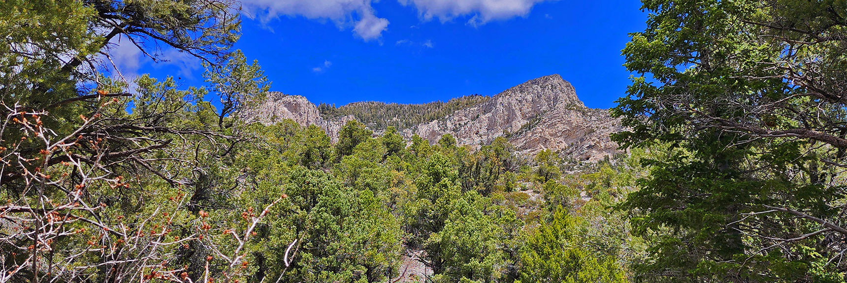 Cliffs Near Southern Base of Fletcher Peak | Fletcher Canyon Trail | Mt Charleston Wilderness | Spring Mountains, Nevada