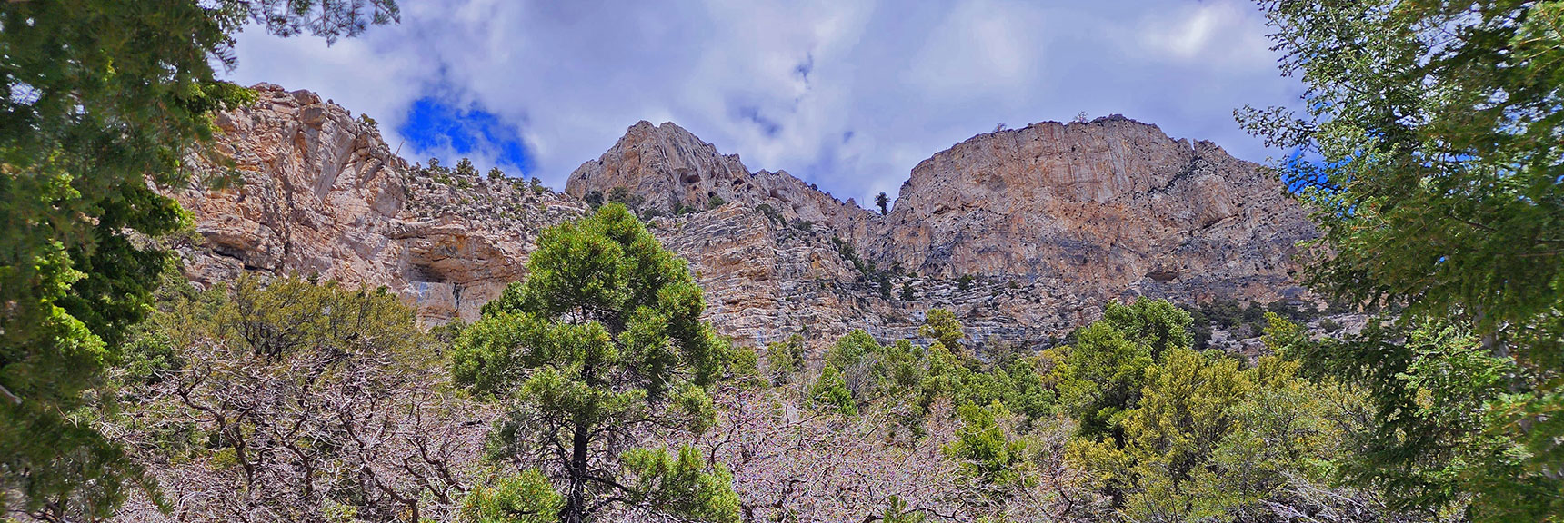 Cliffs Near the Southern Base of Fletcher Peak | Fletcher Canyon Trail | Mt Charleston Wilderness | Spring Mountains, Nevada